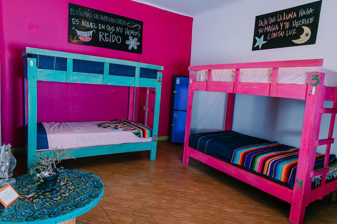 Hostal Chesal San Luis Potosi Ngoại thất bức ảnh