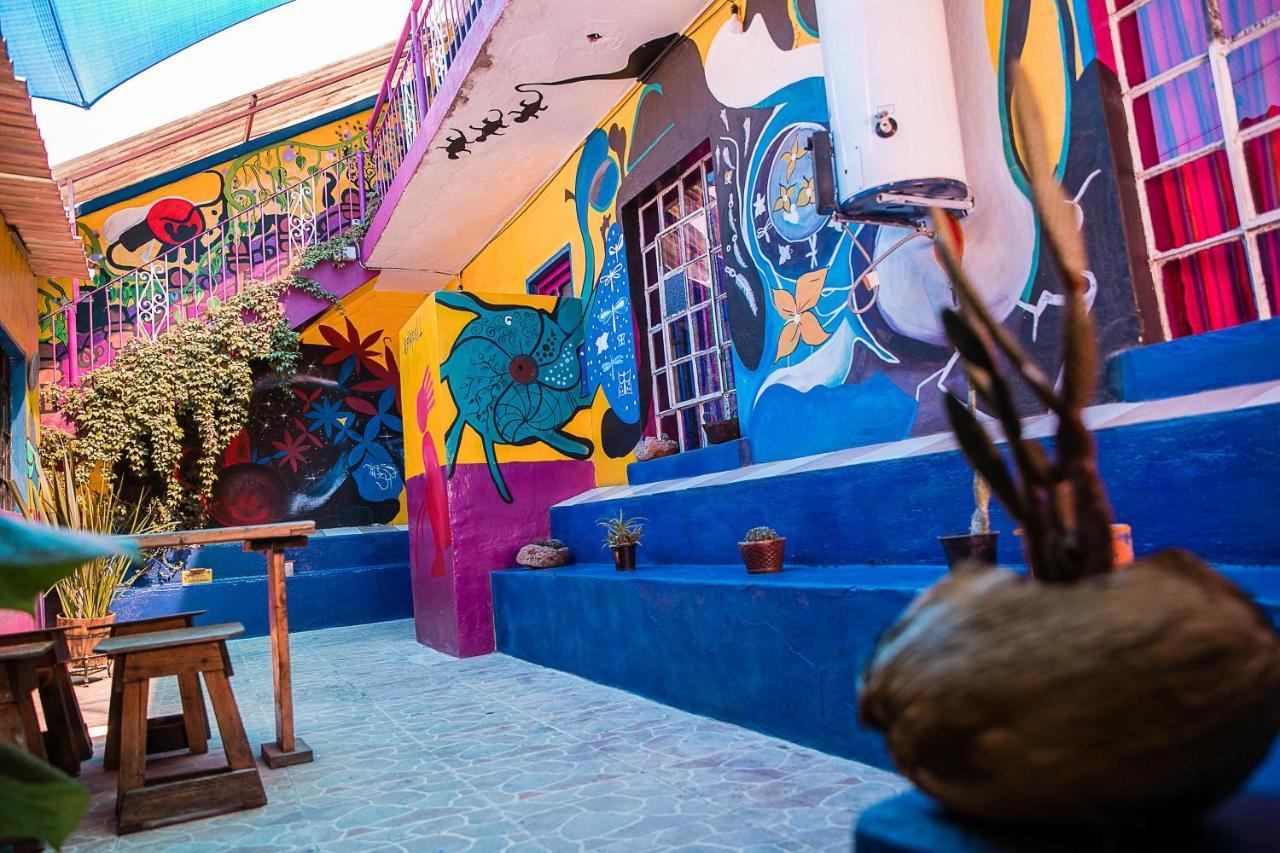Hostal Chesal San Luis Potosi Ngoại thất bức ảnh