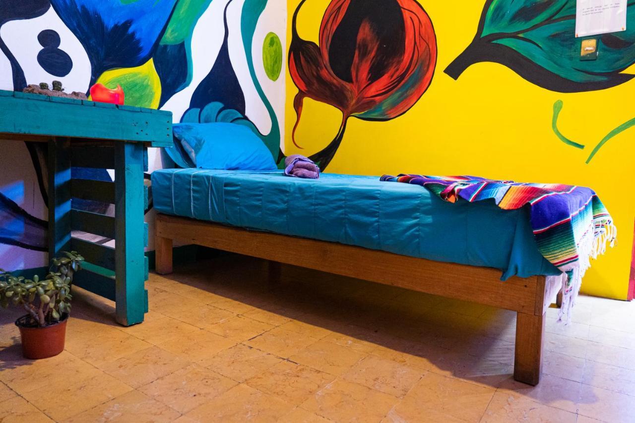 Hostal Chesal San Luis Potosi Ngoại thất bức ảnh