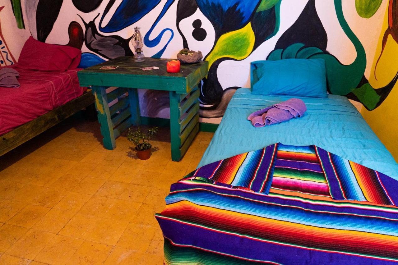 Hostal Chesal San Luis Potosi Ngoại thất bức ảnh