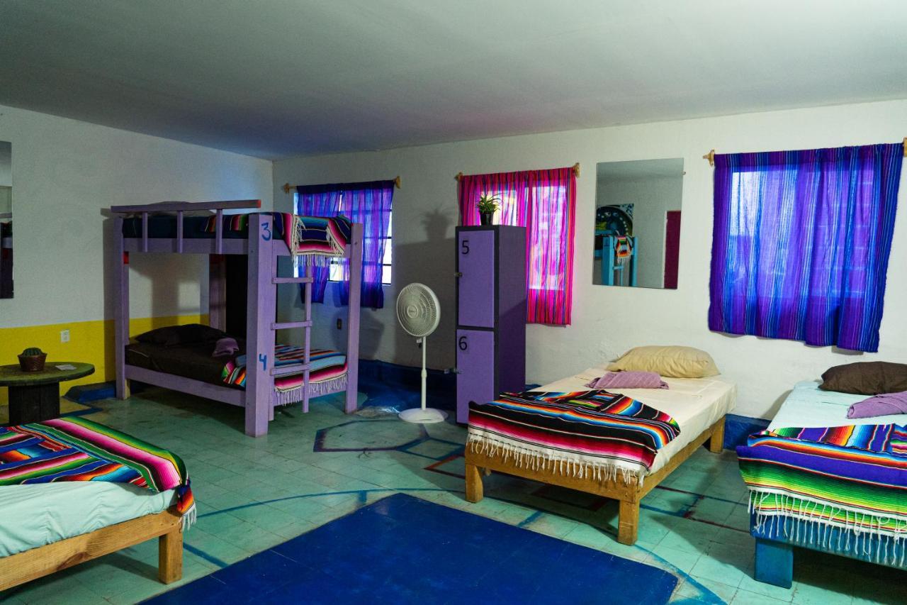 Hostal Chesal San Luis Potosi Ngoại thất bức ảnh