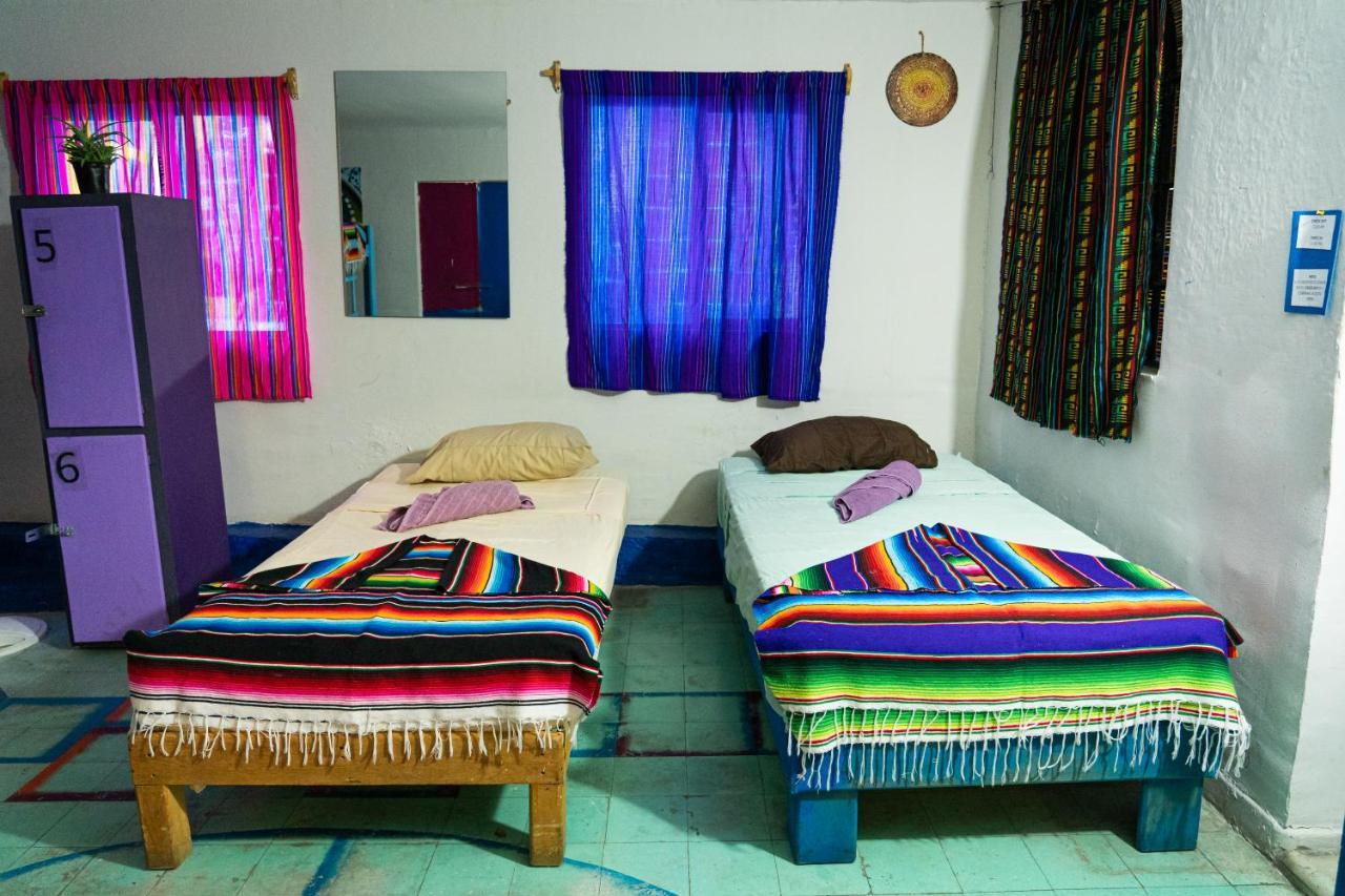 Hostal Chesal San Luis Potosi Ngoại thất bức ảnh
