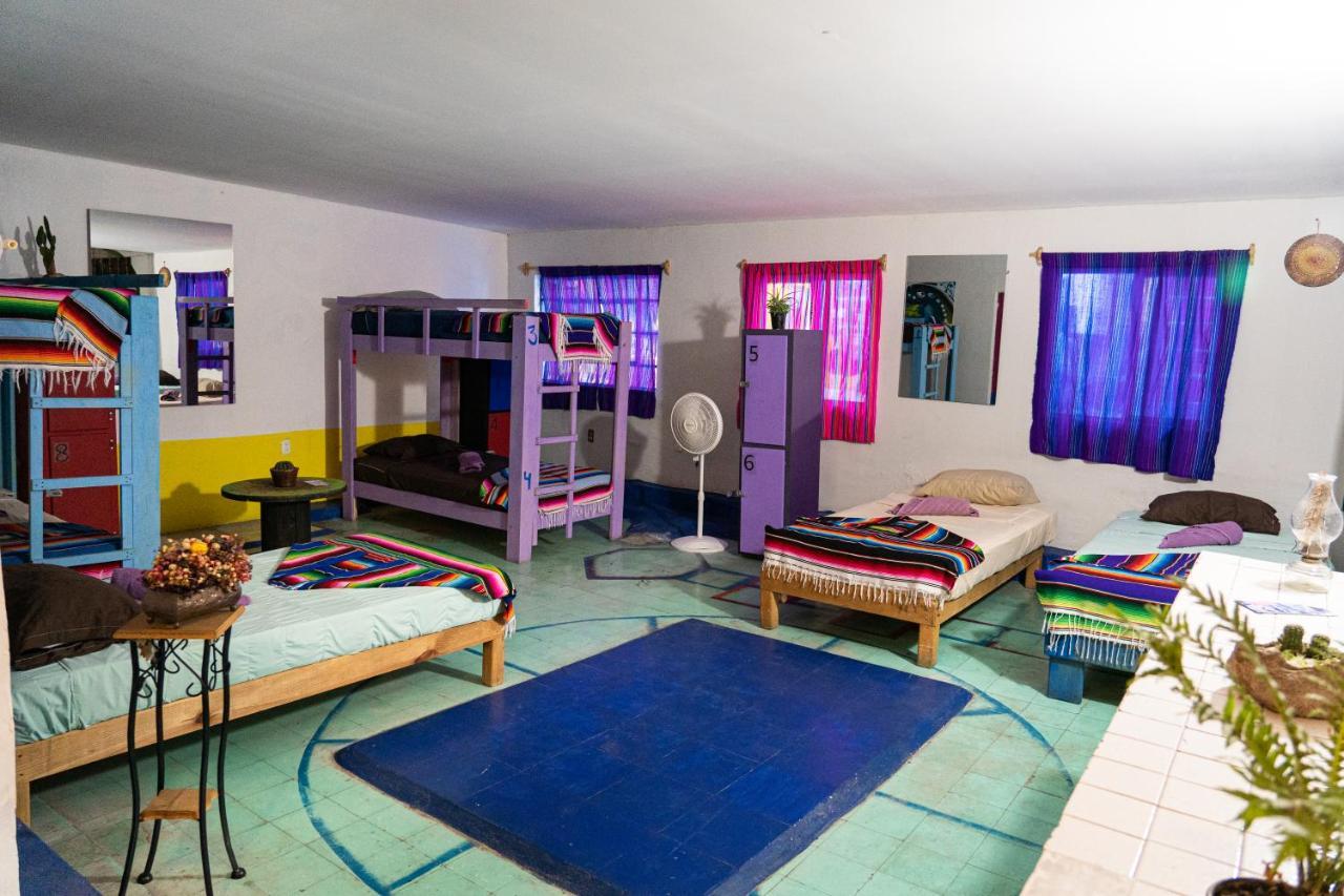 Hostal Chesal San Luis Potosi Ngoại thất bức ảnh