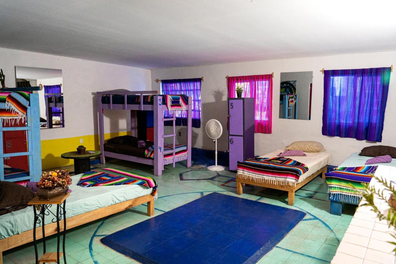 Hostal Chesal San Luis Potosi Ngoại thất bức ảnh
